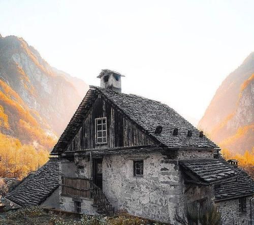 اهنگ کسی سفید نمیزنه دیگه صورتی مد