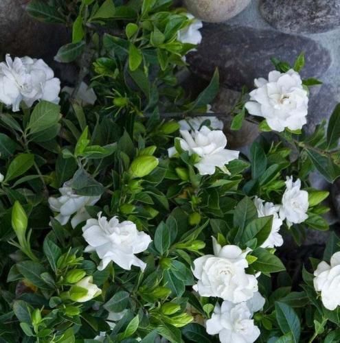 اهنگ دیگه یادی ازم نیست تو سرت حس کردمش از همون اول که