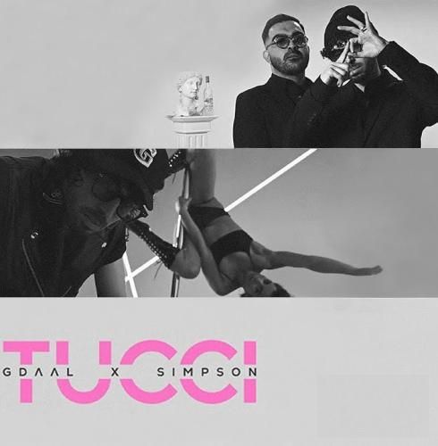 جیدال و پارسا سیمپسون طوسی