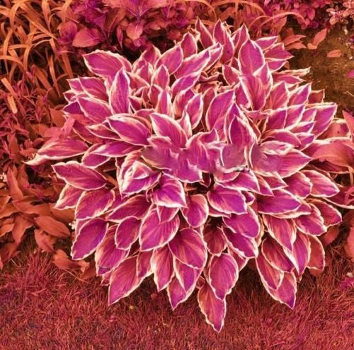 اهنگ حالا اگه نبینمت یه روز تورو چى میشه اون روز اى خدا واى واى