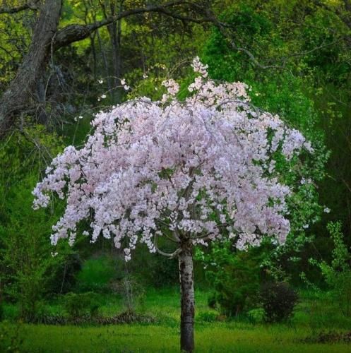 اهنگ نمیدادم به کسی جاتو دلم میخواد خاطره با تو دوتایی بریم یه جای دور