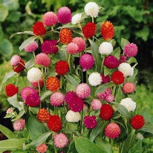 اهنگ دیوونه چند بعدی همه میگن دست خوردی چشام با این الکل خیسه