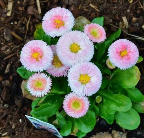 اهنگ تورو دارم خوبه حالم واسه تو رو میکنم هرچی که دارم واسه عشقت کم نمیذارم