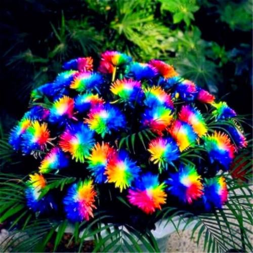 اهنگ عشقت فیکه مگه میشه آدم تو یه هفته یادش بره خب کل حسش