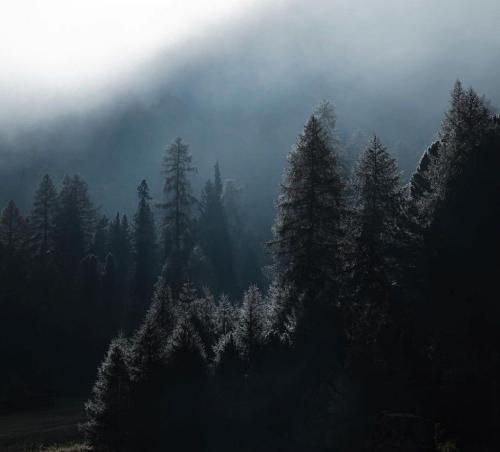 اهنگ لشم کمی شبیه پاندا نگام میره روی