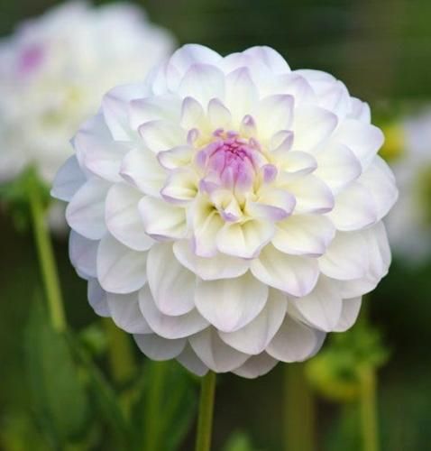 اهنگ غم عشق تو کم نیست نیستی دل تو دلم نیست آخه دست خودم نیست