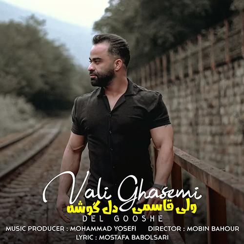 ولی قاسمی دل گوشه