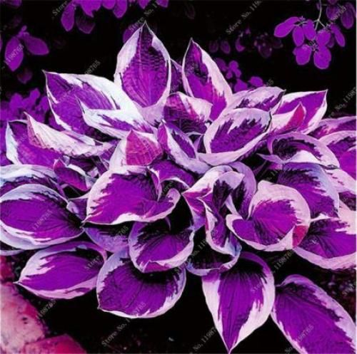 اهنگ بی صدا گذاشتی رفتی دوست دارم بدونم قد من صد دفعه دور کی چرخید