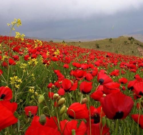 اهنگ یه موقع هایی یادم بیوفت من هرچی باشم خاطرم من همونم که حاضر شدم