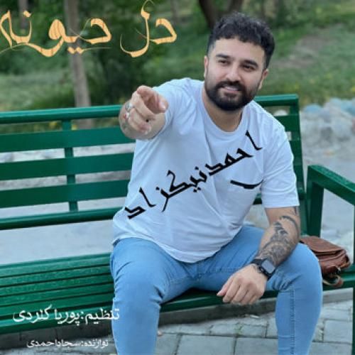 احمد نیکزاد دل دیونه