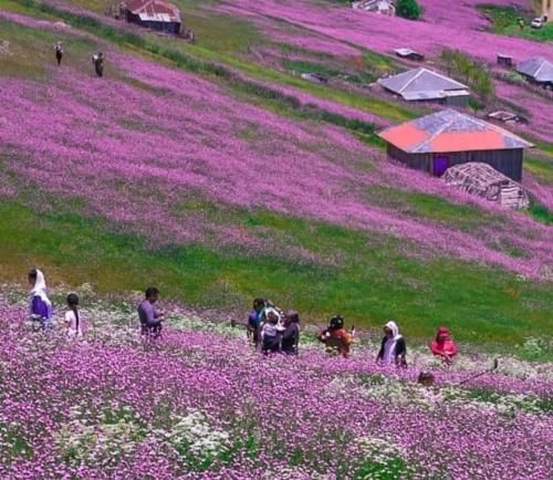 اهنگ بهم گفتن ولت کنم بزنم قیدتو  برم به سمت زندگیم ببرم کیفشو