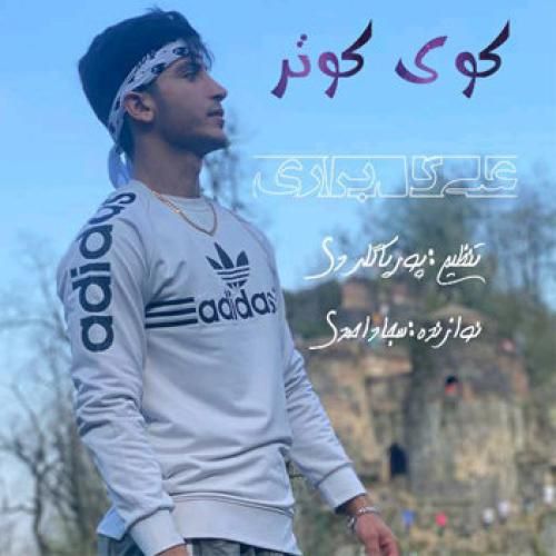 علی گل براری کوی کوتر