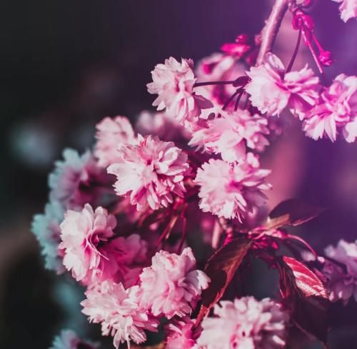 اهنگ ببین که چه کردی با حال بده اونی که دوست داشت قیدتو دیگه زده