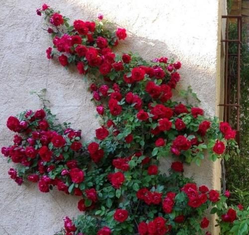 اهنگ همیشه چوب سادگیمو خوردم همه جونمو نارفیقا بردن توی خودم اسیرم افسردم