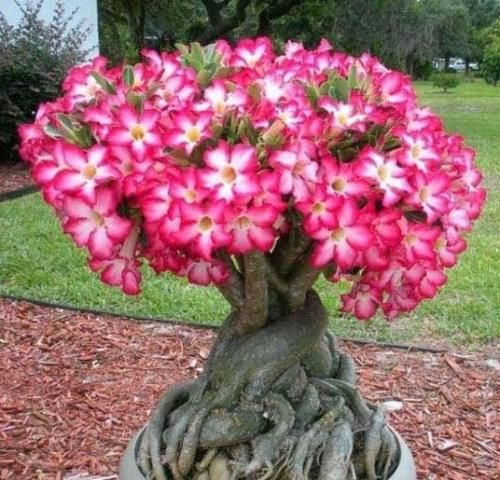 اهنگ چقدر غم گومه اصلا بعد تو کسی نیومد نه تو تنهاییمام کسی نبود اصلا