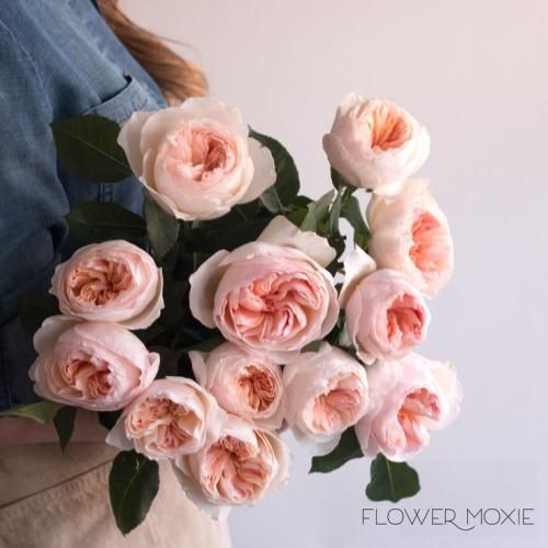 اهنگ همه چی رویایی مثل یه خواب بود تا عاشق تو شدم همه رو دور انداختم