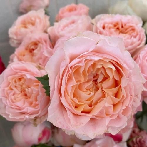 اهنگ تا بهم میریزه پازل تیکه هامو سرهم کنی حتی وقتی برگردم