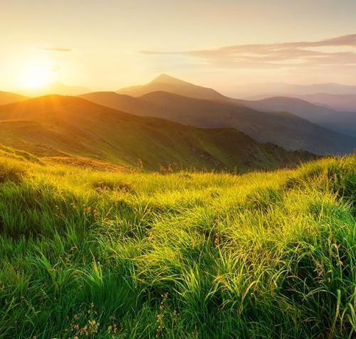 اهنگ بریز بریز امشب بریزو بپاشه بریزو یه کار کن اکیپو که پاشه