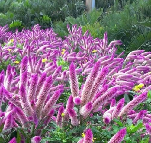 اهنگ مگه نمیگفتی که من همه چی تمومم چرا همه چی شد تموم پس