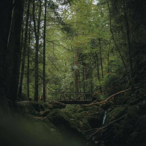 سنا برزنجی باران