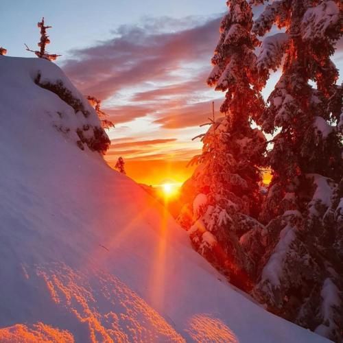 فاطمه عطایی دیاری دیاری نزن مه وسه اشاره