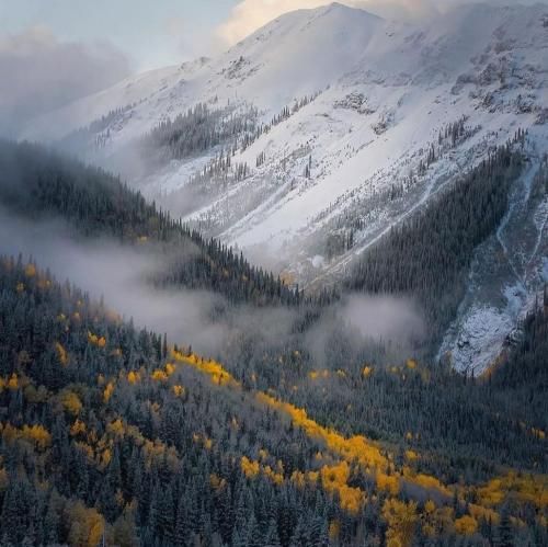  اونا فقط لفظن ولی من لاو لب بت میدم رگباری