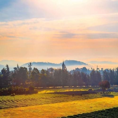 روزگار حکم جداییمونو امضا کرده