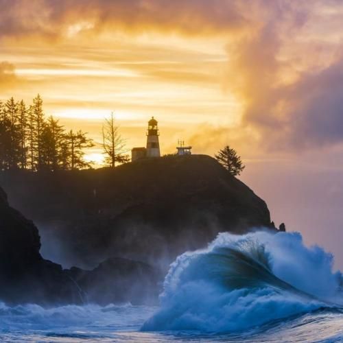  شاید ساده باشم اما کور که نیستم