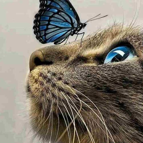   به این پی بردم دل تو سنگ بود ولی برعکس دل من تنگه