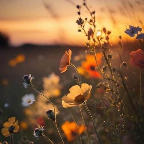  تک ستاره ی آسمونم چراغ خونم مگه میشه بی تو بمونم