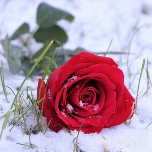 پسراشو کراپ بم میگه اکس مکساشو