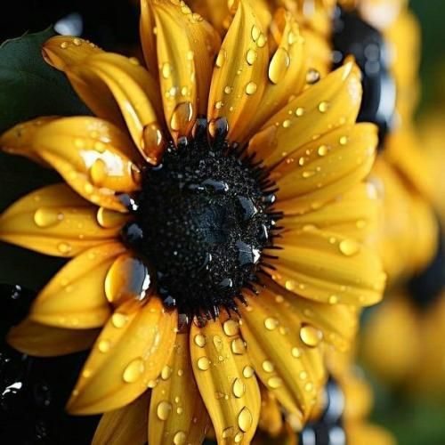  هنوز گیره گیره دلم بهت نشد حرف دلمو بگم بهت