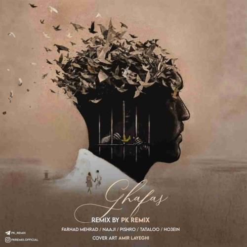 پی کی ریمیکس قفس