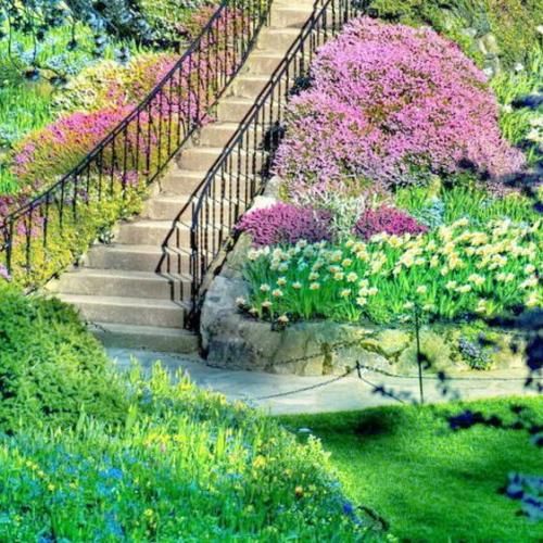  خارجی خاطرات خیلی شیرین استانبول تا پاریس