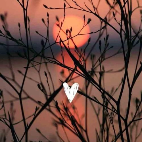  آخه چقد دلم خواست بریم تو غروب