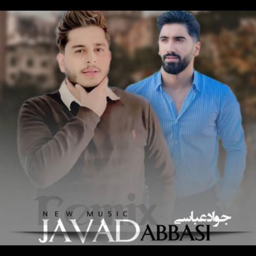 جواد عباسی گل کاکتوس