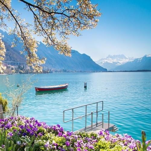  شات اولو میزنم واسه اونی که تورو برد تنهایی با منه