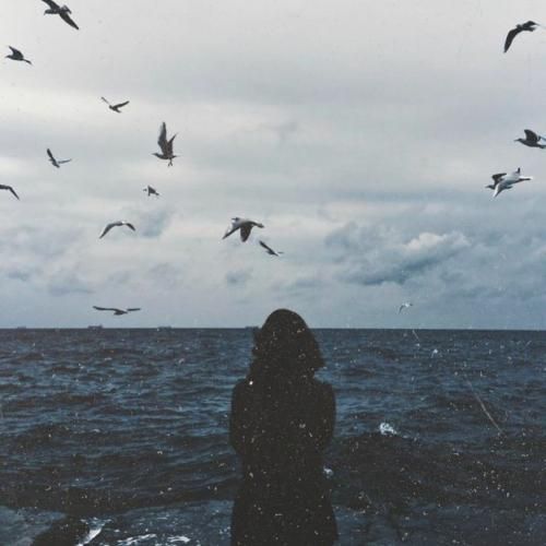  یه شهر سبز دلنواز دامن کوه و دشت ناز ترند اینستایی