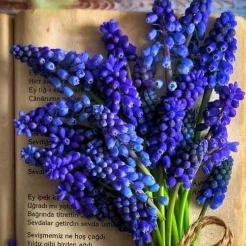 من بهت میگم برگرد اونم بهت میگه برگرد