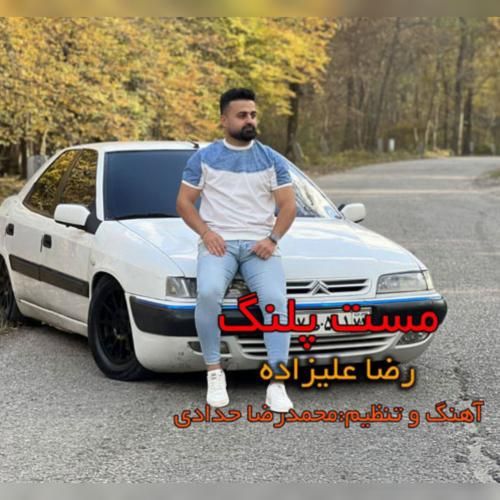 رضا علیزاده مست پلنگ