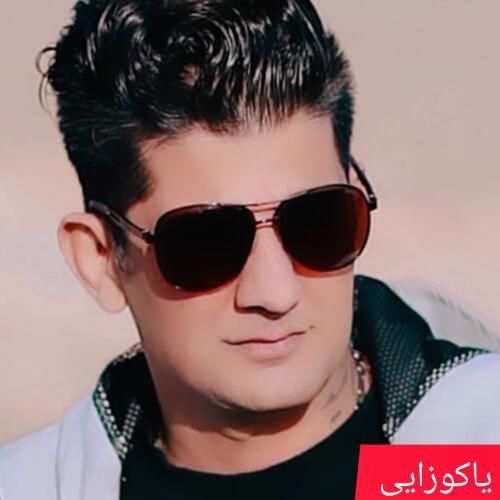 محسن تی وی یاکوزایی