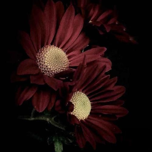  بازی در نیار رو مغزم نرو اگه از من بپرسی زندگی اینه