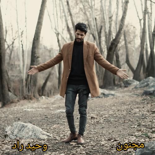 وحید راد مجنون