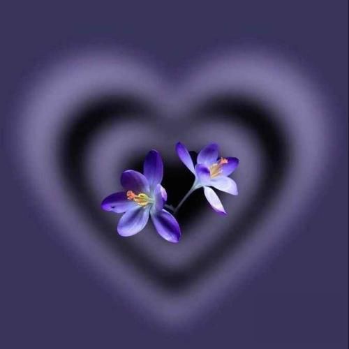  توی روزنامه بخون صفحه حوادثو ببینی مادری که