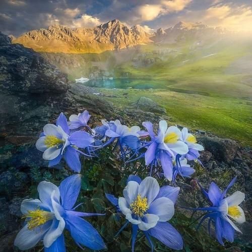 فاطمه عطایی طالبا