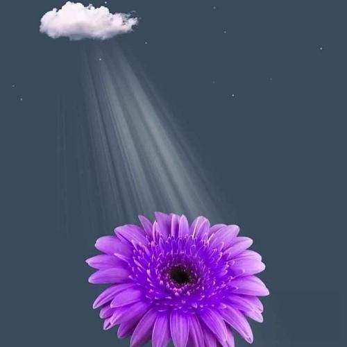 دیگه خاطرم نیست زندگی کجاست خاطرم نیست همه دیگه