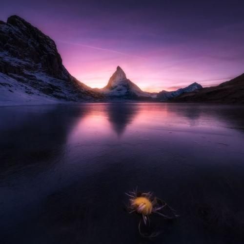  نمیتونم نه چی بود خوردم حالم بد