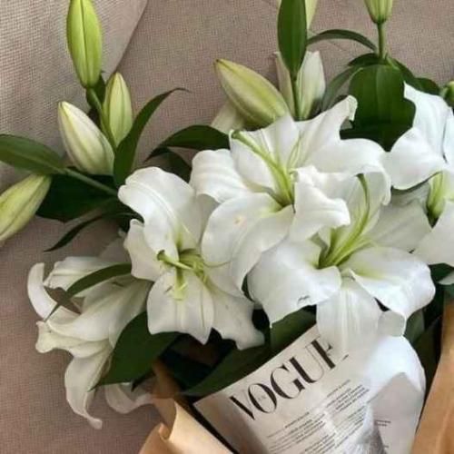  فک کم چن روژه مردمه یاد گرفتیم زخمای خودمونو دوختنو