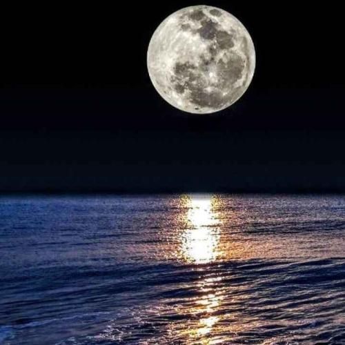 حس میکنم خالی ام با اینکه همه چی هست