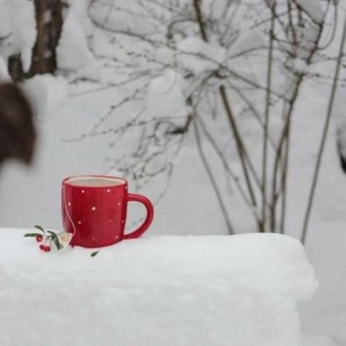 کردی تغییر چون میده حال بهت منو بالا برد